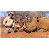 Image 3 : 14 Day South African  Lioness Hunt