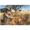 Image 3 : Argentina Red Stag Hunt for 1