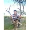 Image 5 : Argentina Red Stag Hunt for 1