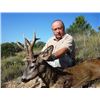 Image 8 : Fallow Deer hunt in Serbia  for 2 Hunters