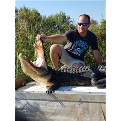 1 Day American Alligator  Hunt for 1 in Louisiana