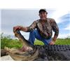 Image 2 : 1 Day American Alligator  Hunt for 1 in Louisiana