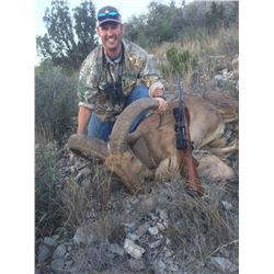 West Texas Four Day Free Range Aoudad Hunt for 1