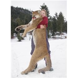 $5,000 USD Credit with  BC Trophy Mountain Outfitters