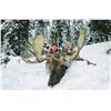 Image 3 : $5,000 USD Credit with  BC Trophy Mountain Outfitters