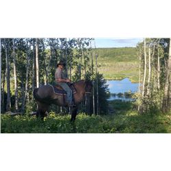 3 Day Back Country Adventure for 4