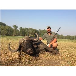 10 Day Cape Buffalo  Hunt in Mozambique  For 1 hunter in 2020
