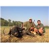 Image 3 : 10 Day Cape Buffalo  Hunt in Mozambique  For 1 hunter in 2020