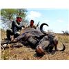 Image 4 : 10 Day Cape Buffalo  Hunt in Mozambique  For 1 hunter in 2020