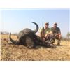 Image 5 : 10 Day Cape Buffalo  Hunt in Mozambique  For 1 hunter in 2020