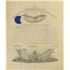 Image 29 : Presidential Collection