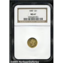 1880[G$1] MS67 NGC.