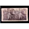 Image 6 : Native American Stereoview & Photo Collection