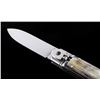 Image 3 : German Buffalo Horn Lever Lock Switchblade Knife