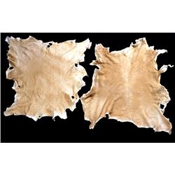 Indian Brain Tanned Buckskins (2)