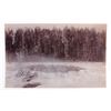 Image 2 : W.H. Jackson Rocky Mountain Photograph Collection