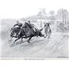 Image 12 : Last of the Great Scouts Buffalo Bill 1st Ed. 1899