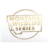 Image 2 : Montana Wildlife Series Silver Round Collection