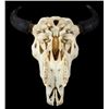 Image 7 : Great American Montana Trophy Buffalo Skull