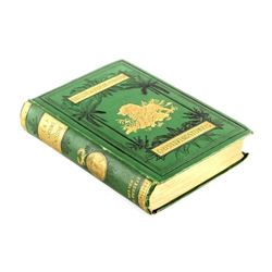 Life and Explorations of David Livingstone 1st Ed