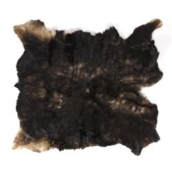 Large Trophy Tanned Montana Moose Hide