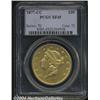 Image 1 : 1877-CC[$20] XF45 PCGS.