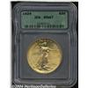 Image 1 : 1924[$20] MS67 ICG.