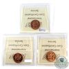 Image 2 : 1-cent 1965 SB Ptd5 MS-66, 1965 LB Ptd5 MS-65 & LB Blt5 MS-66 Heavy Cameo ICCS Certified. 3pcs