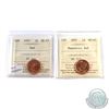 Image 1 : 1-cent 2007 Magnetic and Non-Magnetic both ICCS Certified MS-67 RED. Both tied for the highest grade