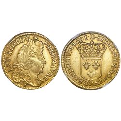 France (Lyon mint), 1 louis d'or, Louis XIV, 1691-D, NGC AU details / cleaned.