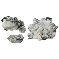 Large clump of 25+ silver cobs encrusted onto a ballast stone, plus smaller stone with single coin, 