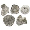 Image 2 : Lot of five Potosi, Bolivia, cob 8 reales, Philip III, assayers not visible, Grade 4, certificates m