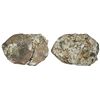 Image 1 : Encrusted clump of two Potosi, Bolivia, cob 1/2R (rare denomination), Philip IV and/or Charles II.