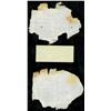 Image 2 : Lot of two Calcutta, British India, 10 rupees notes, 25-1-1916, series AC 48, serials 80384 and 8039