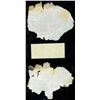 Image 2 : Lot of two Calcutta, British India, 10 rupees, 25-1-1916, series AC 48, serials 80392 and 80365, lam