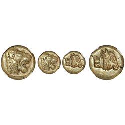 Lesbos, Mytilene, electrum hecte, 521-478 BC, lion head, NGC Choice XF, strike 4/5 surface 4/5.