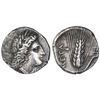 Image 1 : Lucania, Metapontum, AR nomos, 334-330 BC.