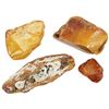 Image 1 : Lot of North Sea ancient amber fossil pieces (approx. 44 million years old).