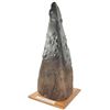Image 1 : Rare Revolutionary War wood-and-iron cheval-de-frise head from the Siege of Fort Mifflin, Philadelph