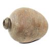 Image 1 : Intact earthenware "beehive" olive jar, Spanish colonial, 1700s.