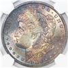 Image 1 : USA (San Francisco mint), $1 Morgan, 1879-S, NGC MS 64.