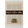 Image 14 : Framed Cigar Band Collection