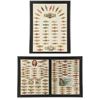 Image 1 : Framed Cigar Band Collection