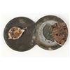 Image 9 : Automobile Radiator Badges
