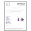 Image 3 : 14K WHITE GOLD RUBY EARRING:18g/Ruby:17.55ct/Diamond:2.08ct
