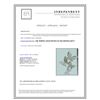Image 3 : 14K WHITE GOLD PENDANT 2.70GRAM DIAMOND 0.69CT