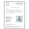 Image 3 : BLUE DIAMOND 0.14CT / BROWN 0.05CT 14K WHITE GOLD RING