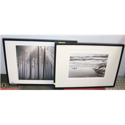 LOT OF TWO 29"X21" BLACK & WHITE NATURE PRINTS
