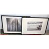 Image 1 : LOT OF TWO 29"X21" BLACK & WHITE NATURE PRINTS