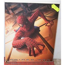 SPIDERMAN PICTURE